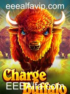 Explorando o Universo de ChargeBuffalo: A Nova Sensação de EEEAlfa.com